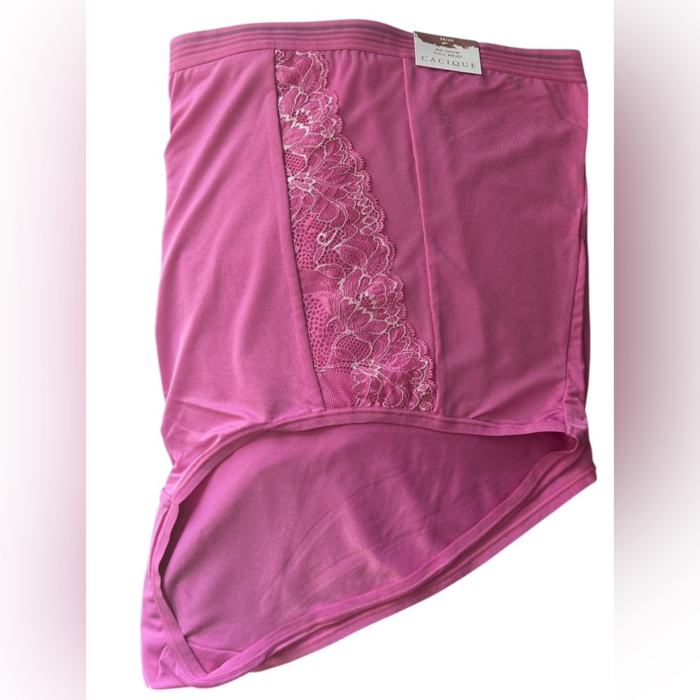 NWT Lane Bryant Cacique no show full brief panty, size 38/40